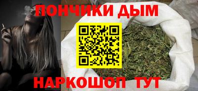 шишки Будённовск