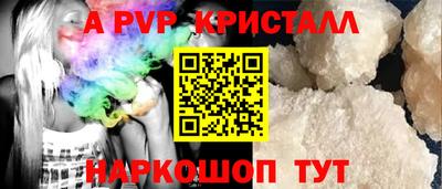 шишки Будённовск