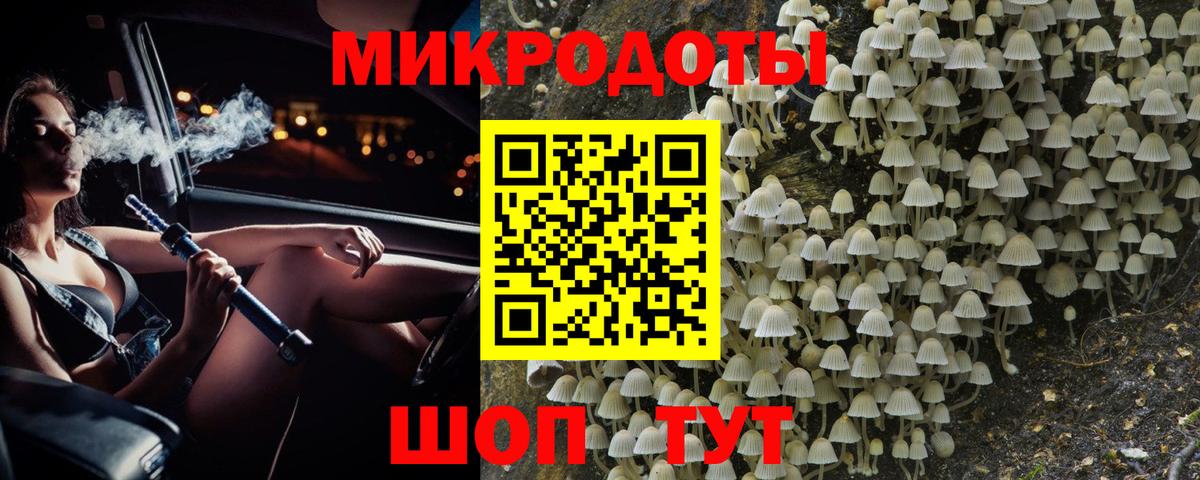Мончегорск  Псилоцибиновые грибы мухоморы  Вход с VPN 